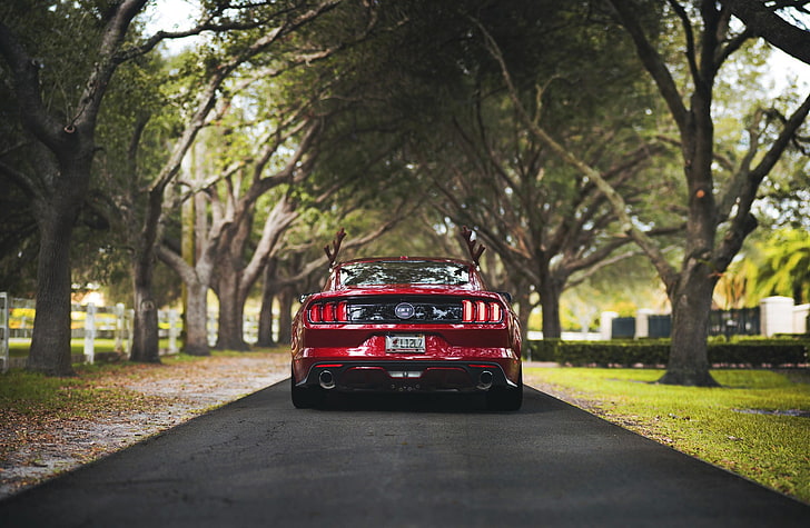 carro vermelho, mustang gt500, Ford, natureza, vista traseira, Ford Mustang Shelby, muscle cars, HD papel de parede