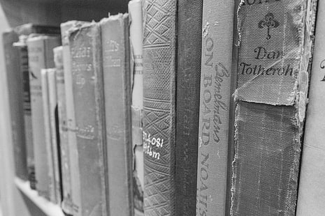 antique, books, education, history, information, li, library, literature, old, old book, paper, read, reading, study, vintage, HD wallpaper HD wallpaper