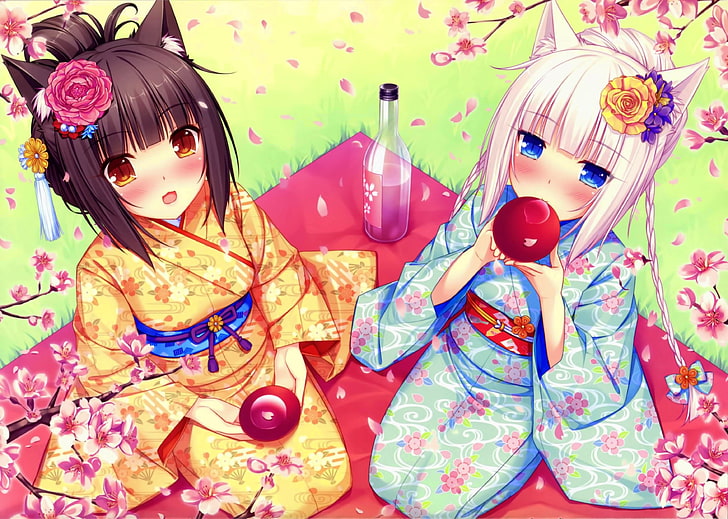 Chocolat (Neko Para), filles d'anime, Neko Works, oreilles d'animaux, nekomimi, pique-nique, fleur de cerisier, Neko Para, vanille (Neko Para), anime, fille de chat, fleur dans les cheveux, Fond d'écran HD