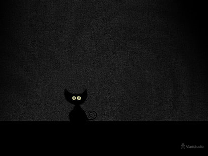 кот, темный фон, Владстудия, HD обои HD wallpaper