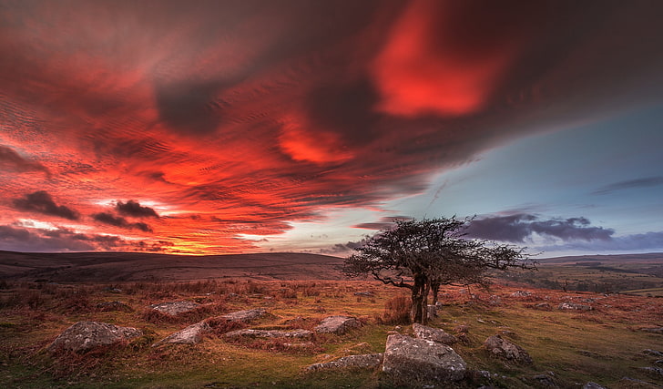 England, Dartmoor National Park, Dartmoor, HD wallpaper
