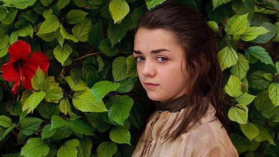 Fernsehserie, Game Of Thrones, Arya Stark, Maisie Williams, HD-Hintergrundbild HD wallpaper