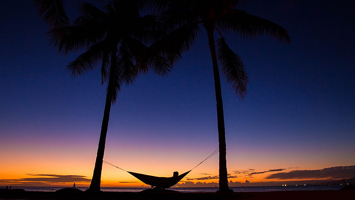 evening, palms, night, rest, peaceful, harmony, relax, relaxing, hammock, vacation, tropics, tree, sky, calm, sea, silhouette, horizon, dusk, afterglow, arecales, palm, palm tree, sunset, HD wallpaper