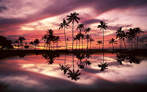 Hawaii Sunset, hawaiana, honolulu, 1920x1200, Fondo de pantalla HD HD wallpaper