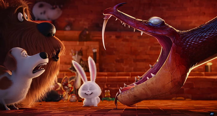 the secret life of pets, movies, animated movies, cartoons, 2016 movies, HD wallpaper