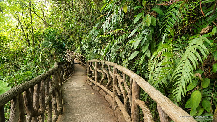 La Paz Waterfall Gardens, Costa Rica, Nature, HD wallpaper