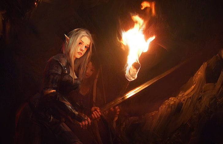illustration of a swordswoman elf and archer, look, fiction, sword, art, torch, elf, ears, HD wallpaper