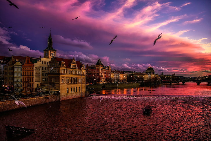 город, городской пейзаж, огни, вечер, Прага, Чехия, река, мост, закат, птицы, волны, старое здание, церковь, облака, отражение, HD обои