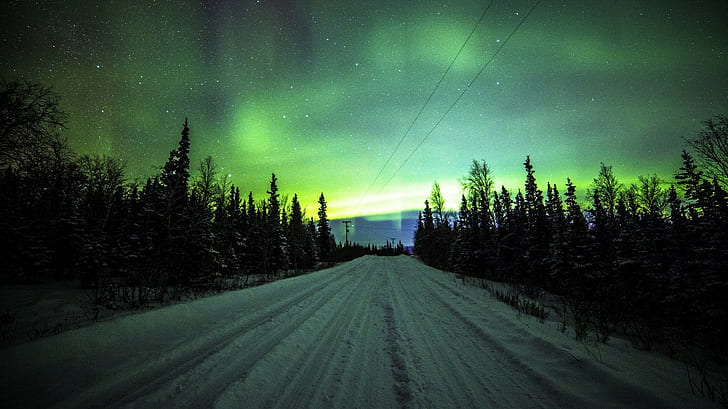 Aurora boreal, estrada, árvores, linhas eléctricas, aurora boreal, pinheiros, HD papel de parede