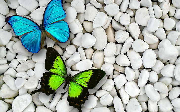 Художествена, пеперуда, синьо, зелено, камъчета, камък, бяло, HD тапет