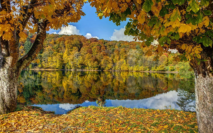 Есенна гора край езерото, зелени и кафяви листни дървета, природа, 1920x1200, вода, облак, дърво, гора, езеро, есен, есен, HD тапет