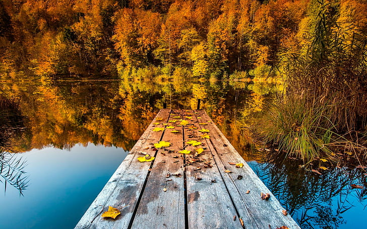 Nature, Landscape, Trees, Pier, Wooden, Surface, Forest, Water, Lake, Reflection, Fall, Leaves, nature, landscape, trees, pier, wooden, surface, forest, water, lake, reflection, HD wallpaper
