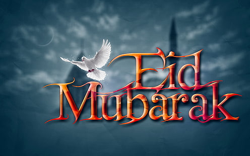 Paloma y Eid Mubarak, Ilustración de Eid Mubarak, festivales / días festivos, Eid, blanco, paloma, festival, vacaciones, oscuro, fondo, Fondo de pantalla HD HD wallpaper