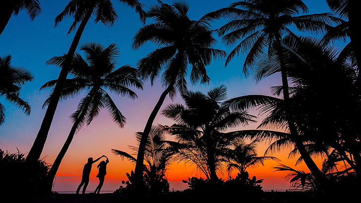 palma, sylwetka, romantyczny, para, romans, zachód słońca, tropiki, wieczór, zmierzch, Tapety HD