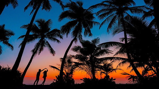 palm tree, silhouette, romantic, couple, romance, sunset, tropics, evening, dusk, HD wallpaper HD wallpaper