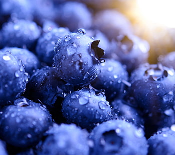 Blueberries, Macro, HD wallpaper HD wallpaper