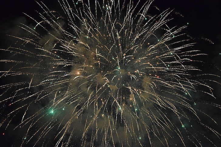 fireworks display, salute, fireworks, holiday, sparks, HD wallpaper