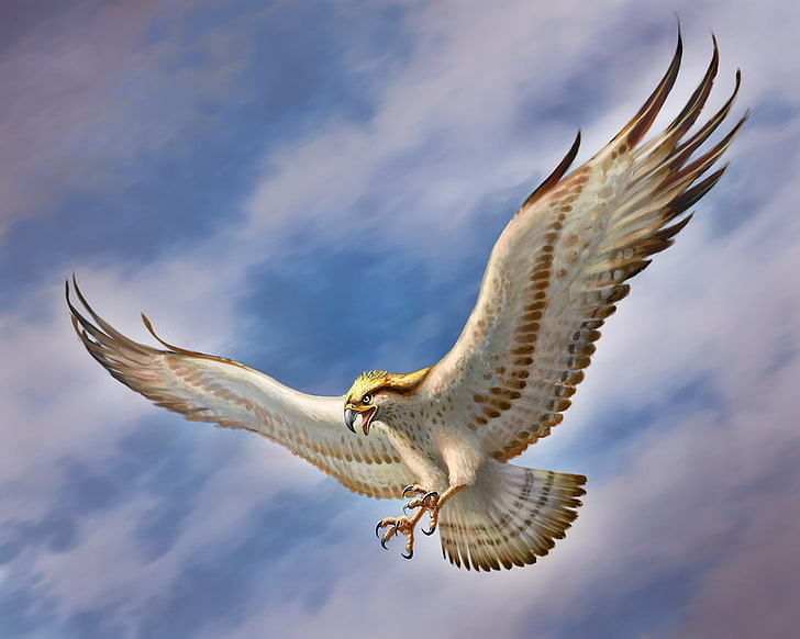 бело-коричневая птица, небо, птица, крылья, арт, сокол, HD обои