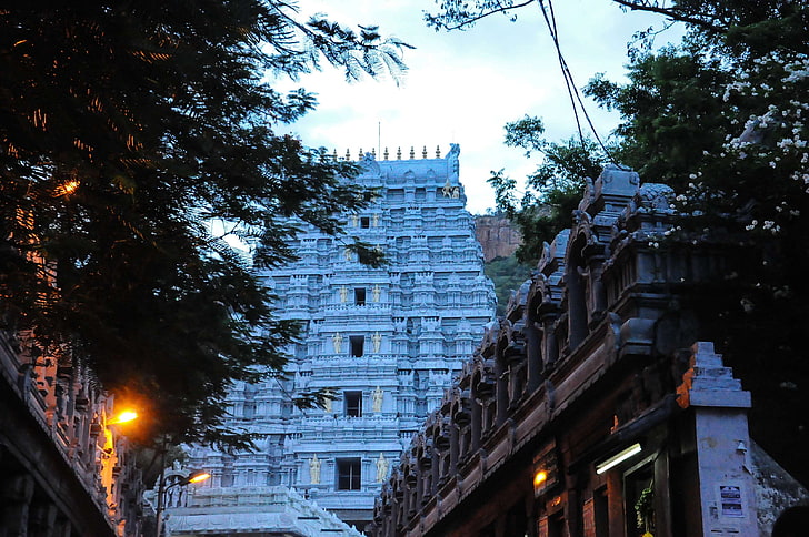 temple of thirupathi my lucky snap, HD wallpaper