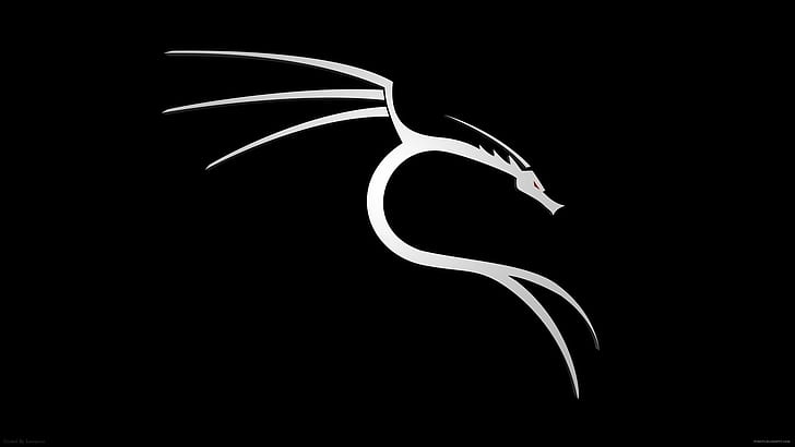 peretasan, Kali Linux, latar belakang hitam, Wallpaper HD