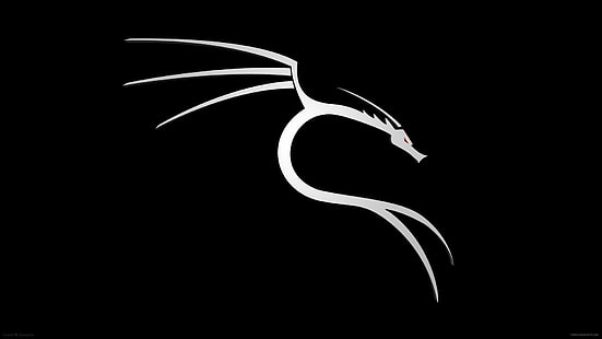 Hacking, Kali Linux, schwarzer Hintergrund, HD-Hintergrundbild HD wallpaper