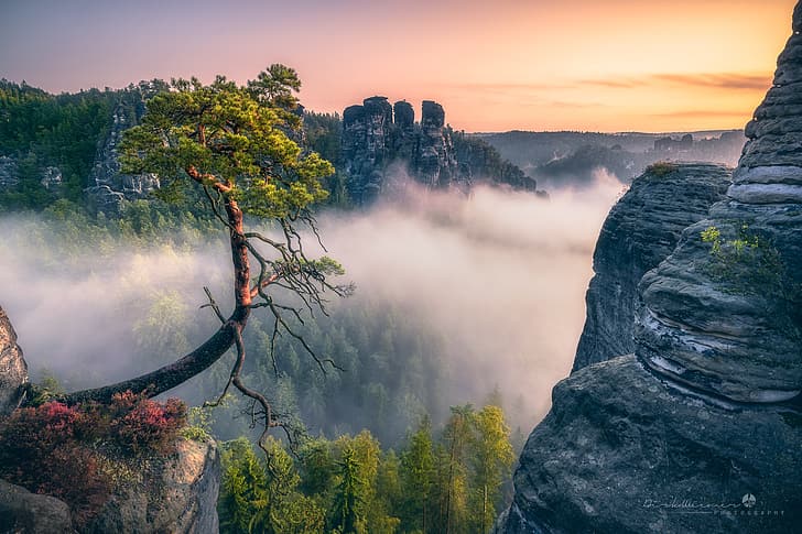 clouds, trees, landscape, nature, fog, rocks, dawn, morning, Germany, forest, Saxon Switzerland, Bastei, HD wallpaper