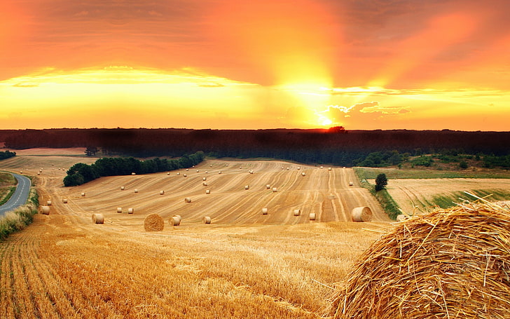 field, hay, haystack, nature, road, straw, sun, sunset, trees, HD wallpaper