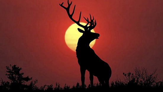 silhouette of deer under full moon, animals, nature, deer, elk, Sun, HD wallpaper HD wallpaper