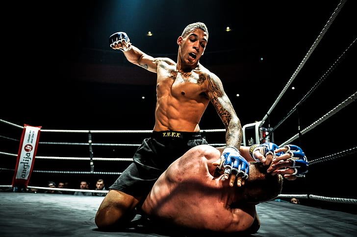 MMA, Fight, Ground, Wallpaper HD