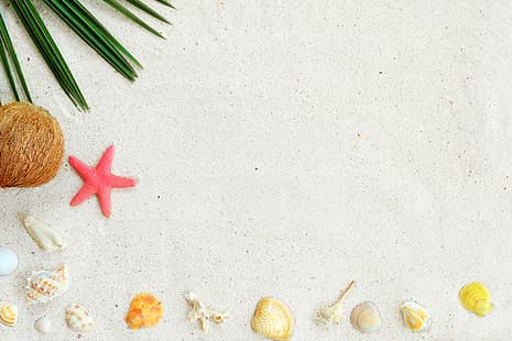  sand, beach, background, star, shell, summer, marine, starfish, seashells, HD wallpaper HD wallpaper