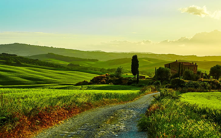 Италия, Тоскана, красив пейзаж, полета, път, трева, дървета, къща, Италия, Тоскана, Красива, Пейзаж, Поля, Път, Трева, Дървета, Къща, HD тапет