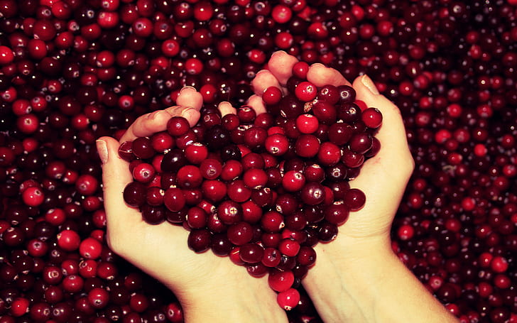 buah, cranberry, merah, tangan, jari, Wallpaper HD