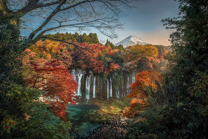 autumn, forest, trees, mountain, waterfall, the volcano, Japan, Mount Fuji, Fuji, Fujinomiya, Shiraito Falls, HD wallpaper