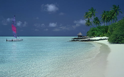przyroda, krajobraz, katamaran, plaża, palmy, piasek, krzewy, tropikalny, wyspa, morze, lato, Tapety HD HD wallpaper