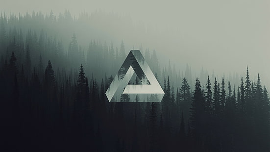 Triangle de Penrose, triangle, géométrie, forêt, Fond d'écran HD HD wallpaper