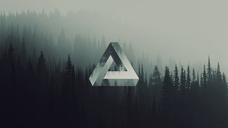 pine trees, triangle, geometry, forest, Penrose triangle, HD wallpaper