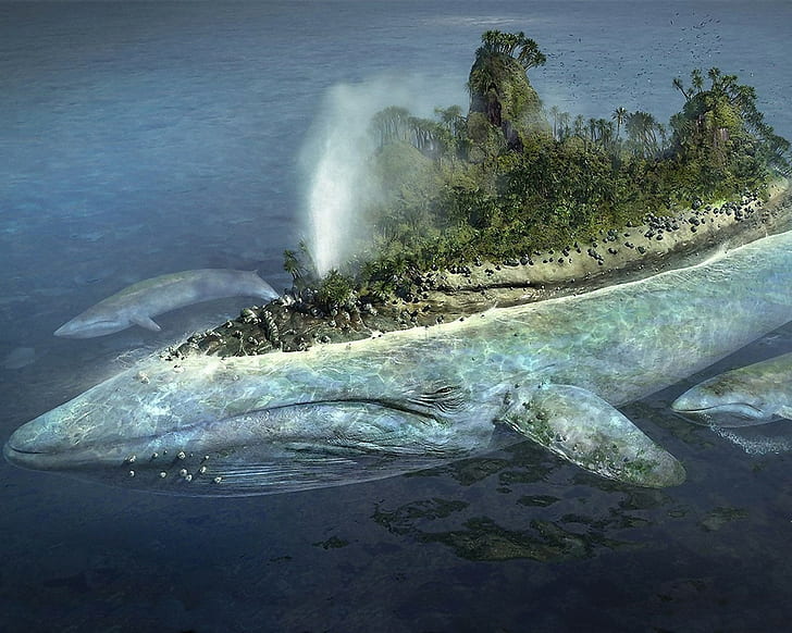 baleine, île, animaux, mer, art numérique, art fantastique, Fond d'écran HD