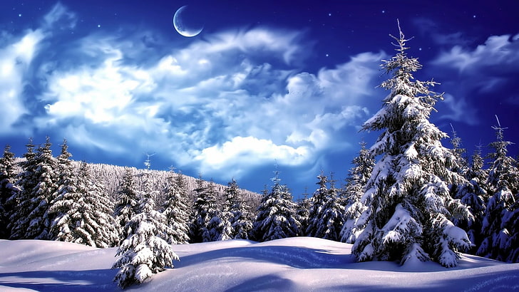 pine tree, moonlit, moonlight, snowy, stars, night, night sky, conifer, cloud, spruce, winter, fir, pines, freezing, moon, luna, blue, snow, sky, HD wallpaper