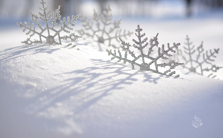 Les Flocons HD Wallpaper, четири бели снежинки, Сезони, Зима, природа, изгрев, макро, сняг, снежинки, wintersun, HD тапет