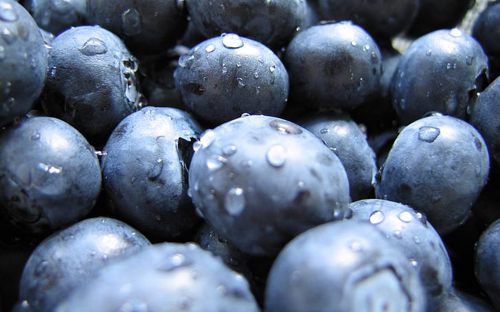 closeup fruits food water drops blueberries 1920x1200  Nature close-up HD Art , close-up, fruits, HD wallpaper