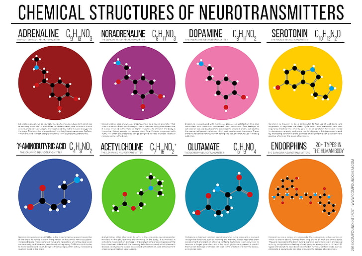 chemical structures of neurotransmitters diagram, science, chemistry, chemical structures, diagrams, text, HD wallpaper