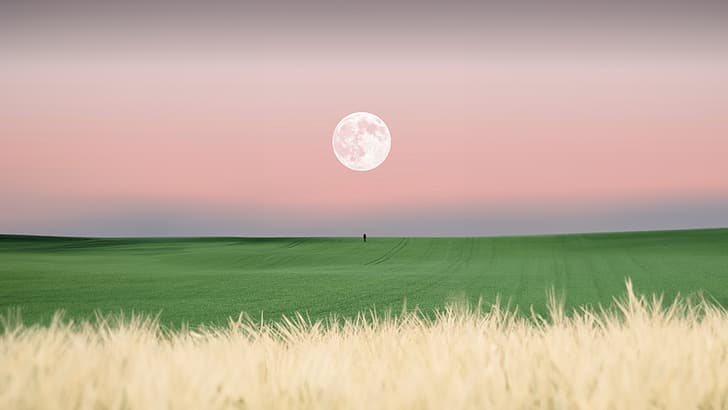 Bulan, tanah, Wallpaper HD