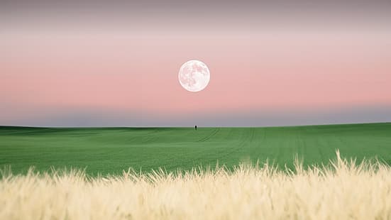 Moon, ground, HD wallpaper HD wallpaper