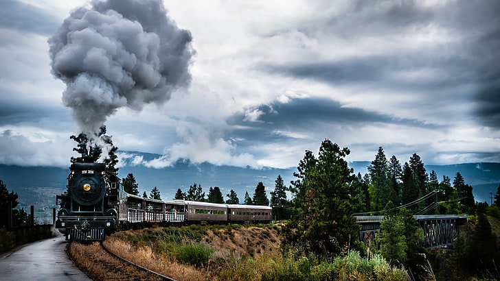 кафяв и черен влак, превозни средства, влак, облак, HDR, пейзаж, железопътна линия, живописен, HD тапет