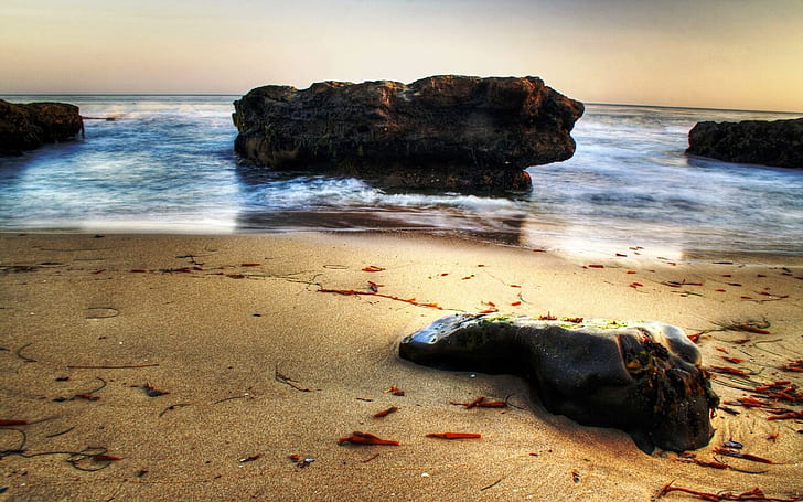 Batuan laut, laut, musim panas, Wallpaper HD