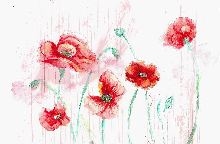 Flores, Flor, Artístico, Flor Vermelha, Aquarela, HD papel de parede