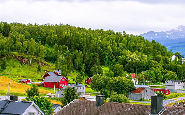Norwegen, Stadt, Berge, Häuser, Bäume, Gras, Norwegen, Stadt, Berge, Häuser, Bäume, Gras, HD-Hintergrundbild