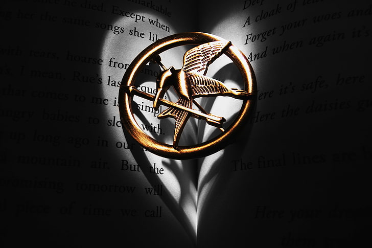 Hunger Games Catching Fire emblem, freedom, pendant, symbol, Mockingjay, HD wallpaper