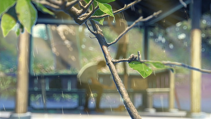 planta de hojas verdes, el jardín de palabras, verano, luz solar, Makoto Shinkai, lluvia, rama, Fondo de pantalla HD