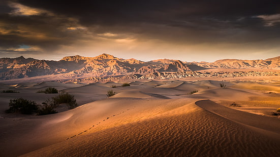 пустиня, небе, пясък, пустиня, пейзаж, сутрин, облак, национален парк долина на смъртта, дюна, пеещ пясък, слънчева светлина, Калифорния, САЩ, мескит плоски пясъчни дюни, HD тапет HD wallpaper